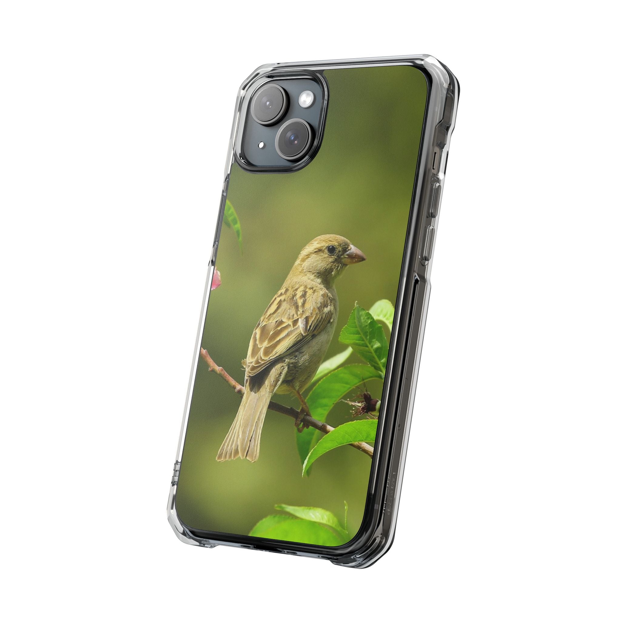 Bird-Themed Magnetic Clear Impact Cases | Nature Lover Phone Case, Wildlife Gift, Eco-Friendly Phone Cover, Unique Mobile Accessories