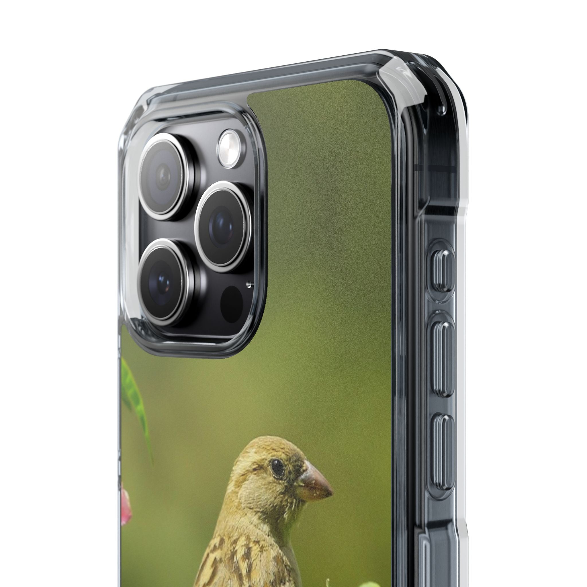 Bird-Themed Magnetic Clear Impact Cases | Nature Lover Phone Case, Wildlife Gift, Eco-Friendly Phone Cover, Unique Mobile Accessories