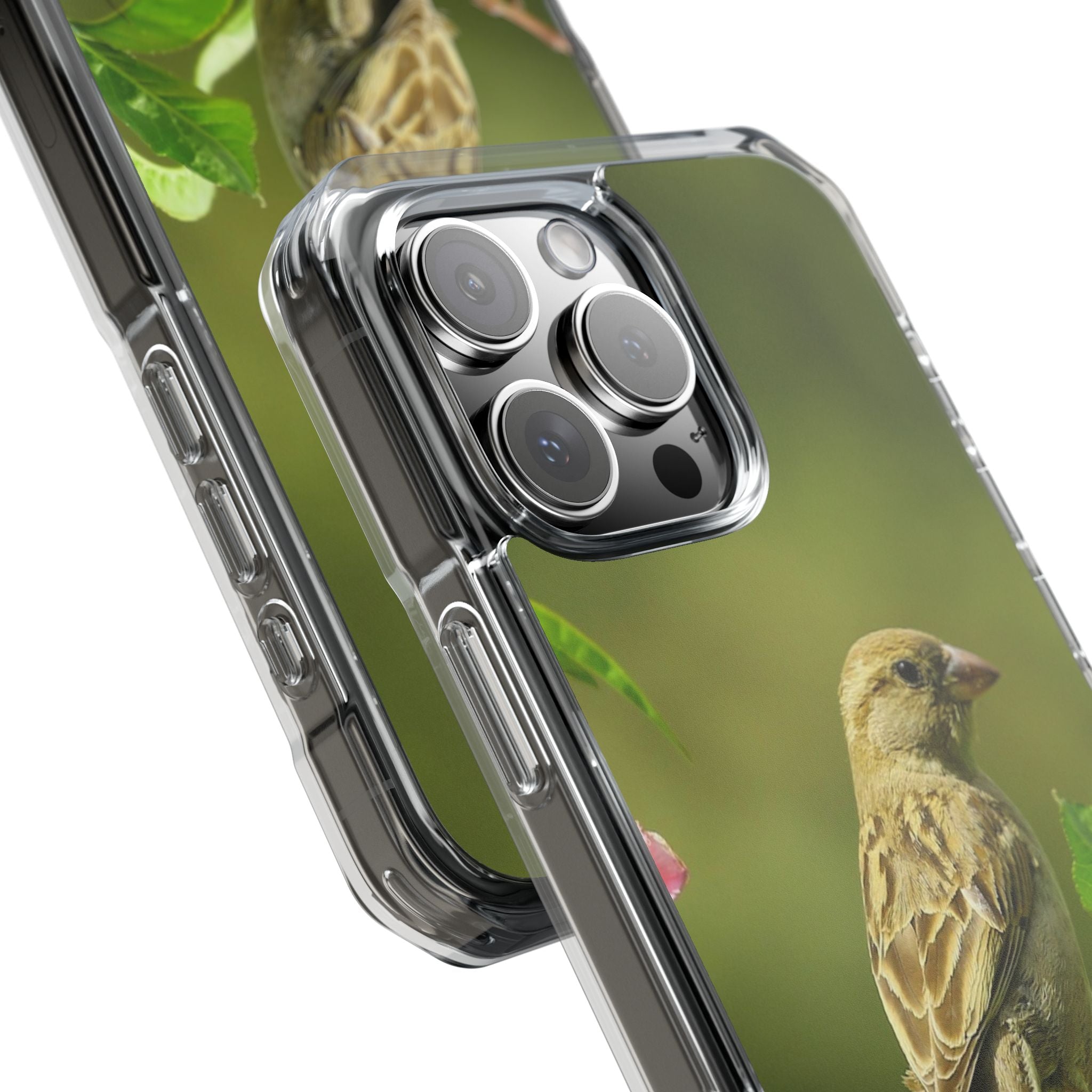 Bird-Themed Magnetic Clear Impact Cases | Nature Lover Phone Case, Wildlife Gift, Eco-Friendly Phone Cover, Unique Mobile Accessories