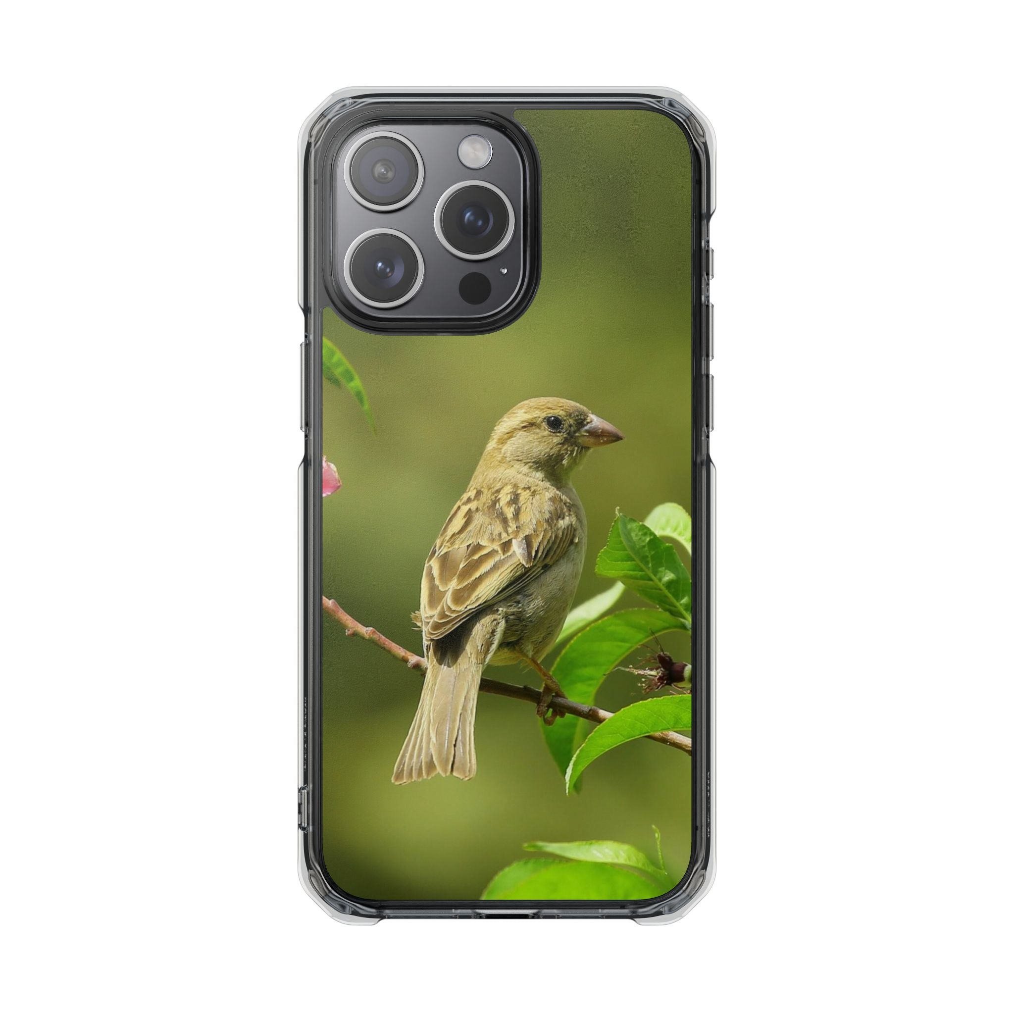 Bird-Themed Magnetic Clear Impact Cases | Nature Lover Phone Case, Wildlife Gift, Eco-Friendly Phone Cover, Unique Mobile Accessories