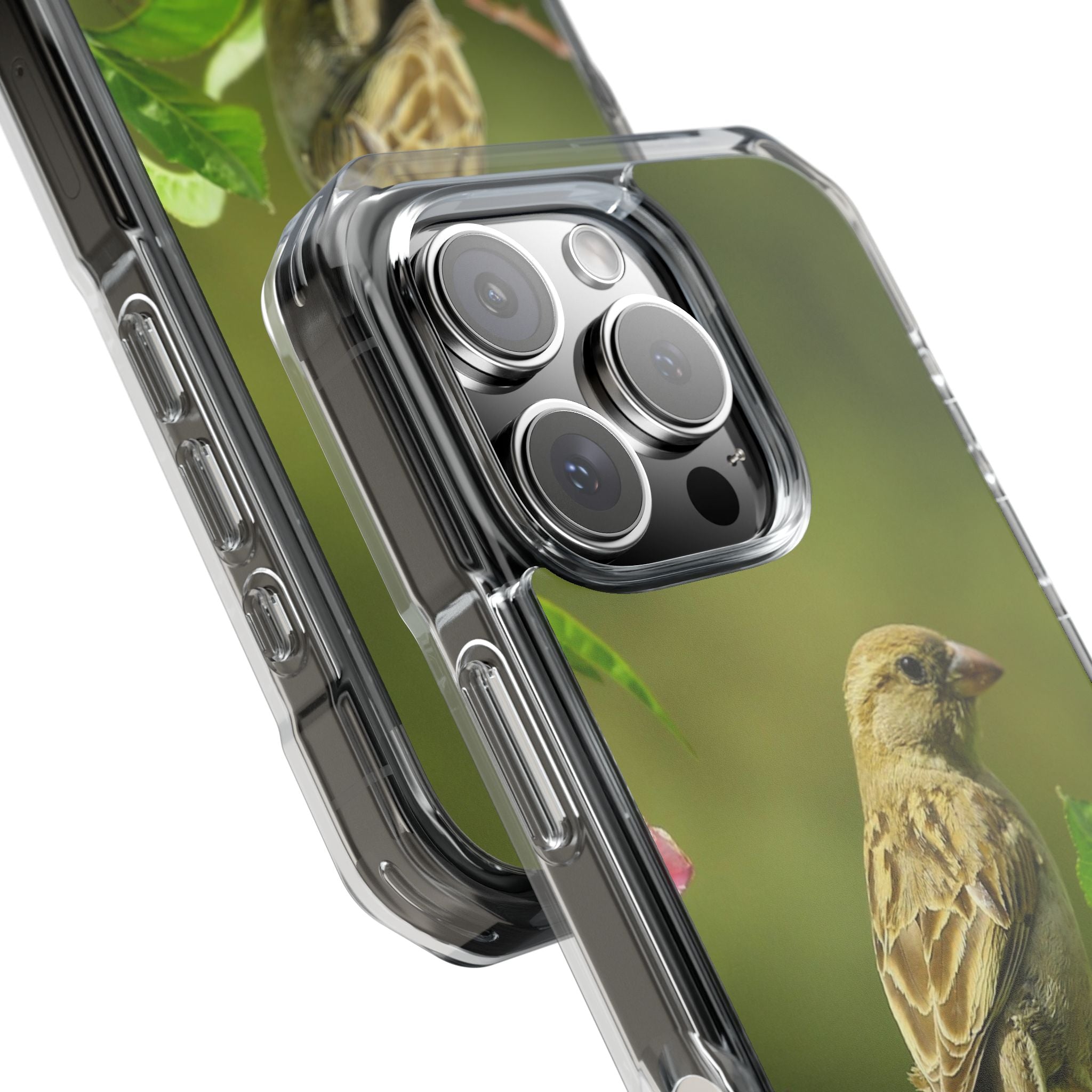 Bird-Themed Magnetic Clear Impact Cases | Nature Lover Phone Case, Wildlife Gift, Eco-Friendly Phone Cover, Unique Mobile Accessories