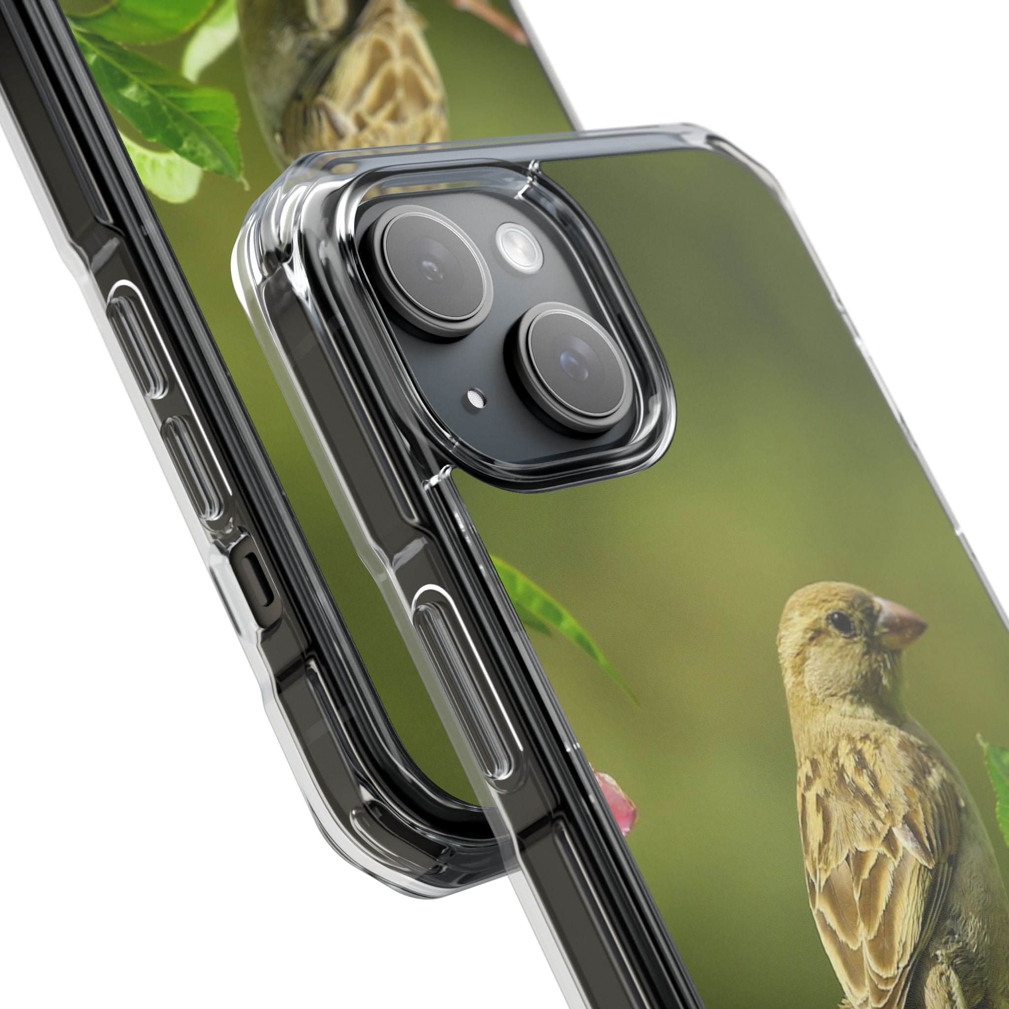 Bird-Themed Magnetic Clear Impact Cases | Nature Lover Phone Case, Wildlife Gift, Eco-Friendly Phone Cover, Unique Mobile Accessories