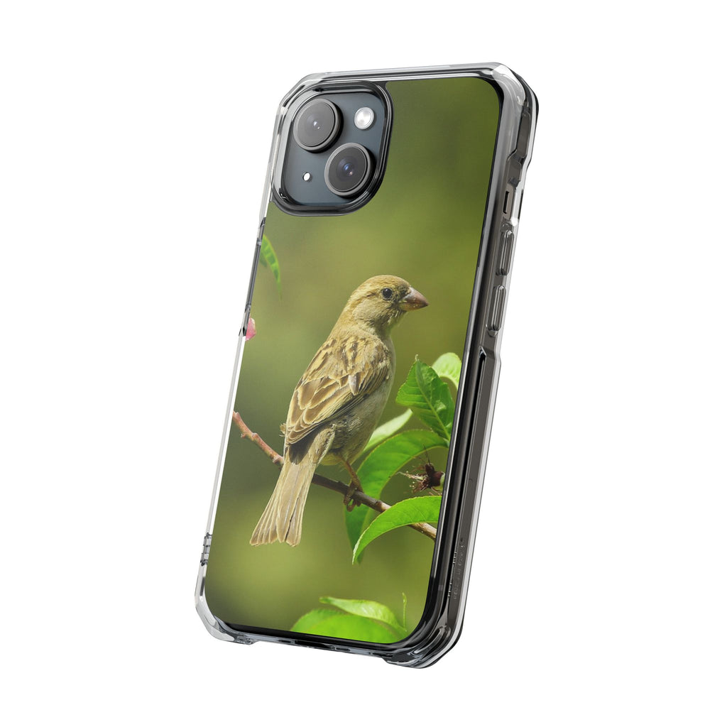 Bird-Themed Magnetic Clear Impact Cases | Nature Lover Phone Case, Wildlife Gift, Eco-Friendly Phone Cover, Unique Mobile Accessories