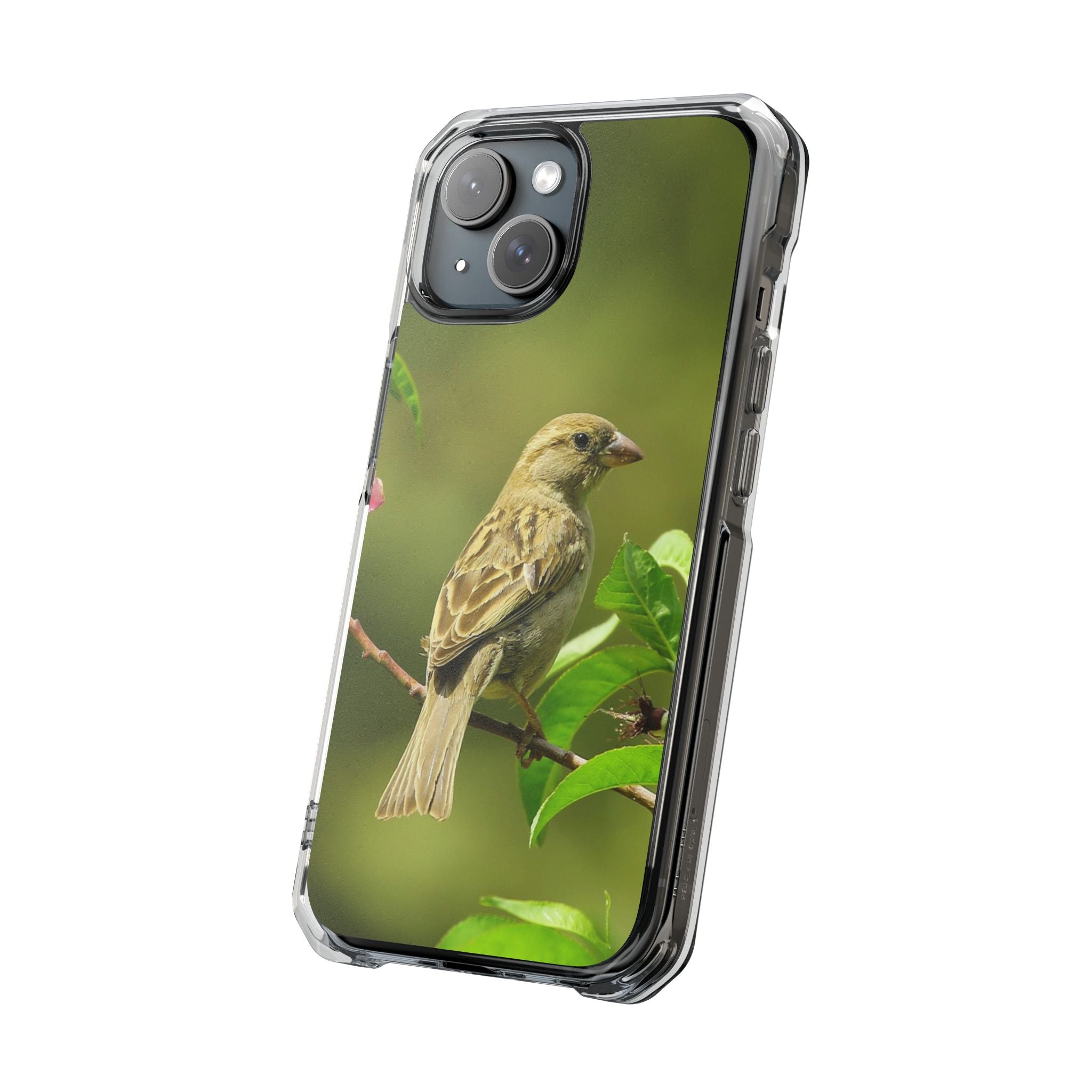 Bird-Themed Magnetic Clear Impact Cases | Nature Lover Phone Case, Wildlife Gift, Eco-Friendly Phone Cover, Unique Mobile Accessories