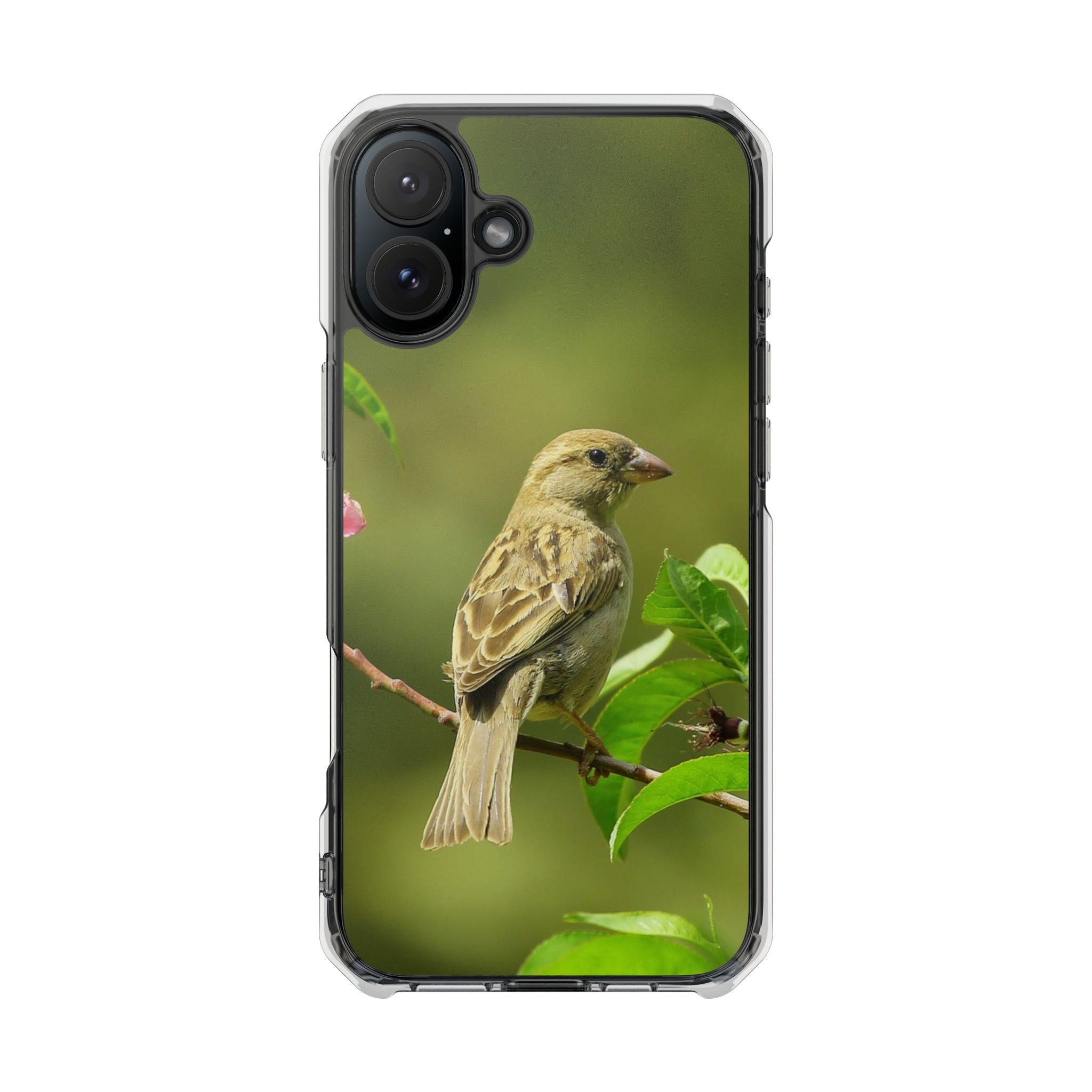 Bird-Themed Magnetic Clear Impact Cases | Nature Lover Phone Case, Wildlife Gift, Eco-Friendly Phone Cover, Unique Mobile Accessories