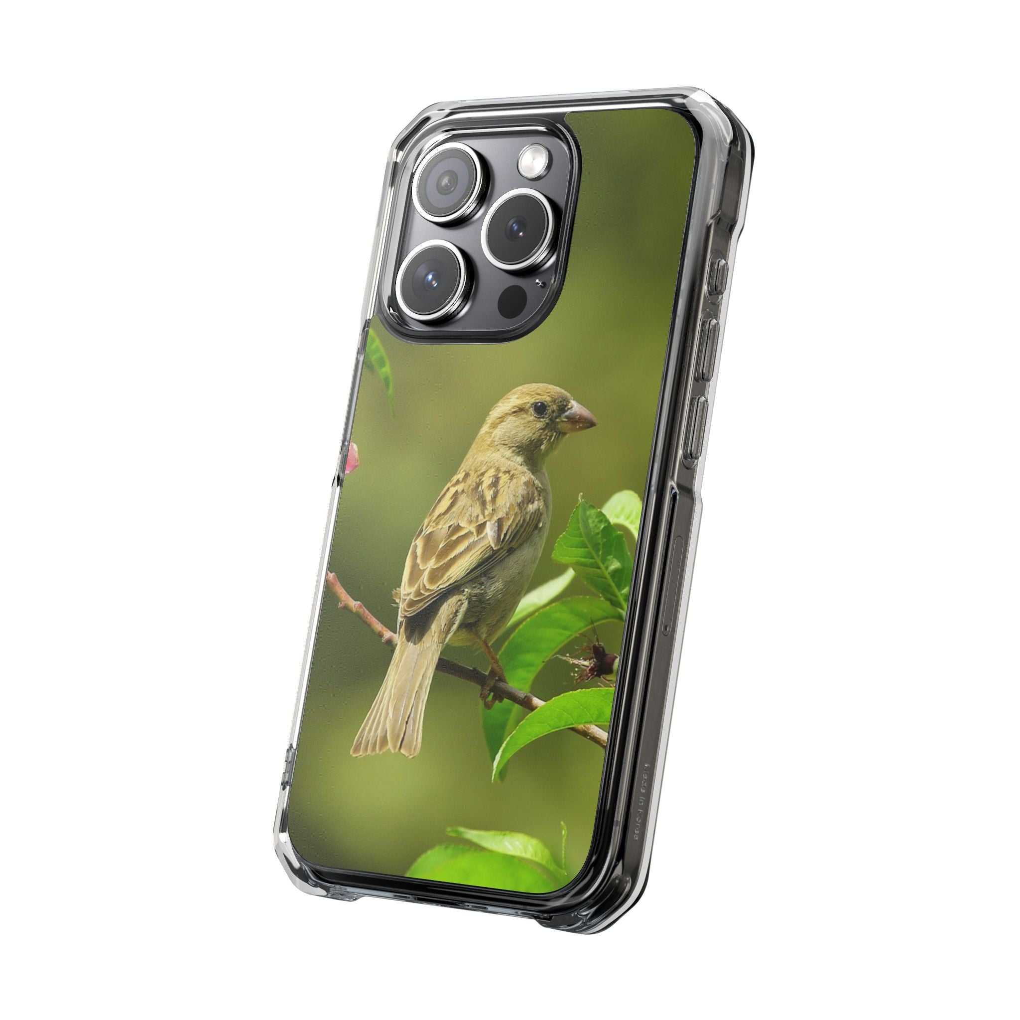 Bird-Themed Magnetic Clear Impact Cases | Nature Lover Phone Case, Wildlife Gift, Eco-Friendly Phone Cover, Unique Mobile Accessories