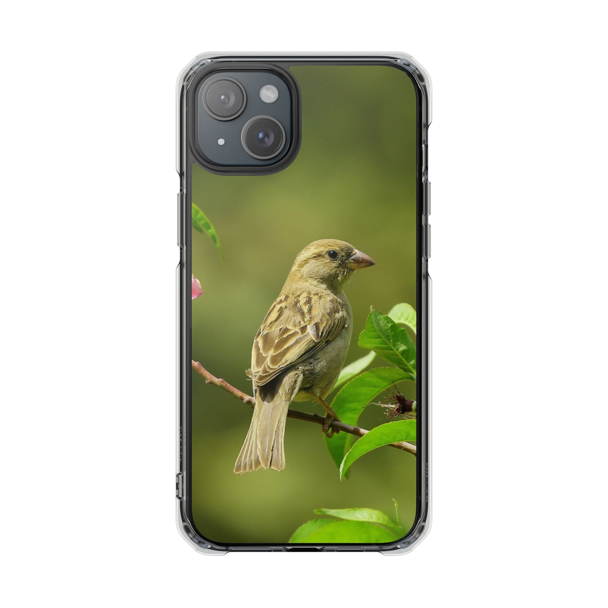 Bird-Themed Magnetic Clear Impact Cases | Nature Lover Phone Case, Wildlife Gift, Eco-Friendly Phone Cover, Unique Mobile Accessories