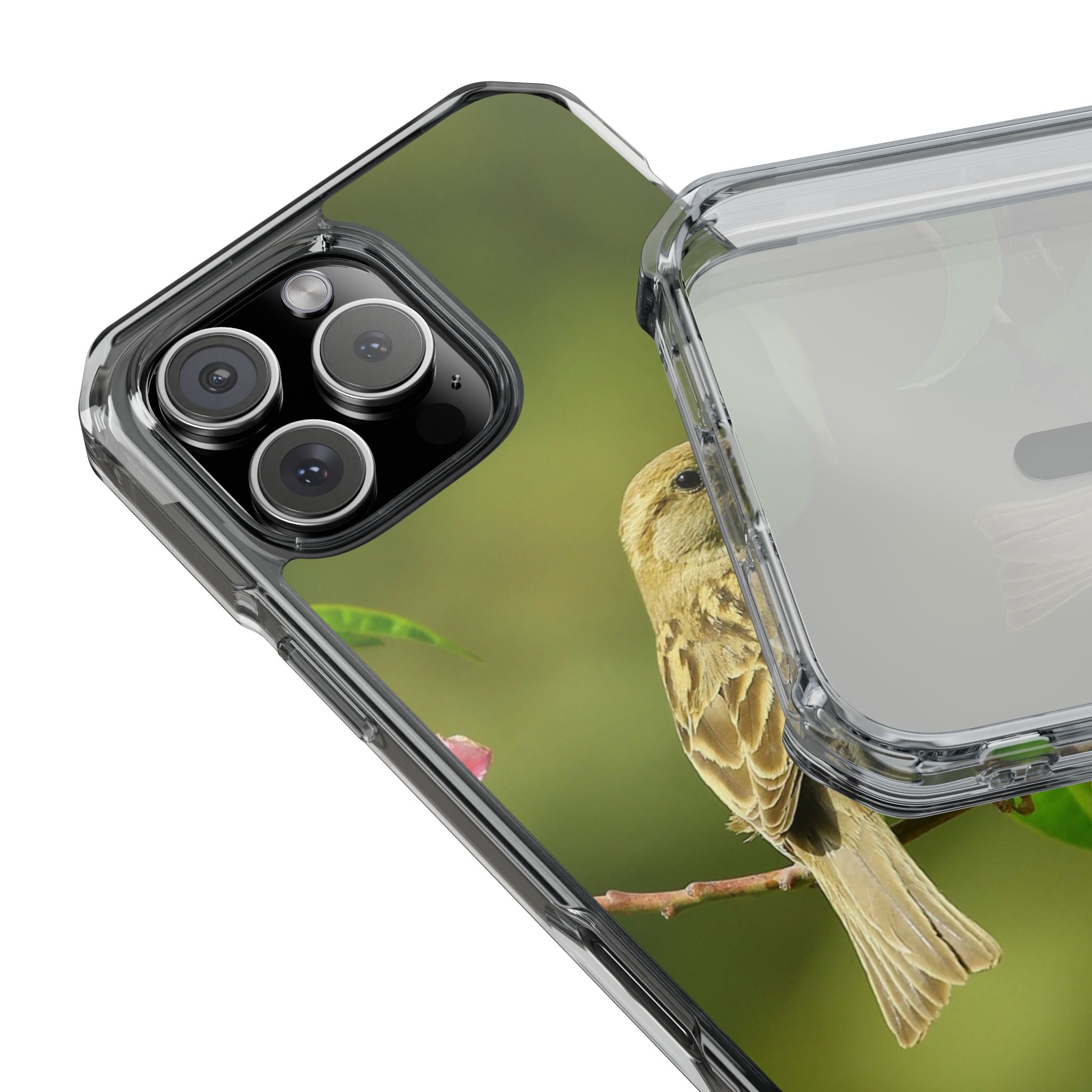 Bird-Themed Magnetic Clear Impact Cases | Nature Lover Phone Case, Wildlife Gift, Eco-Friendly Phone Cover, Unique Mobile Accessories