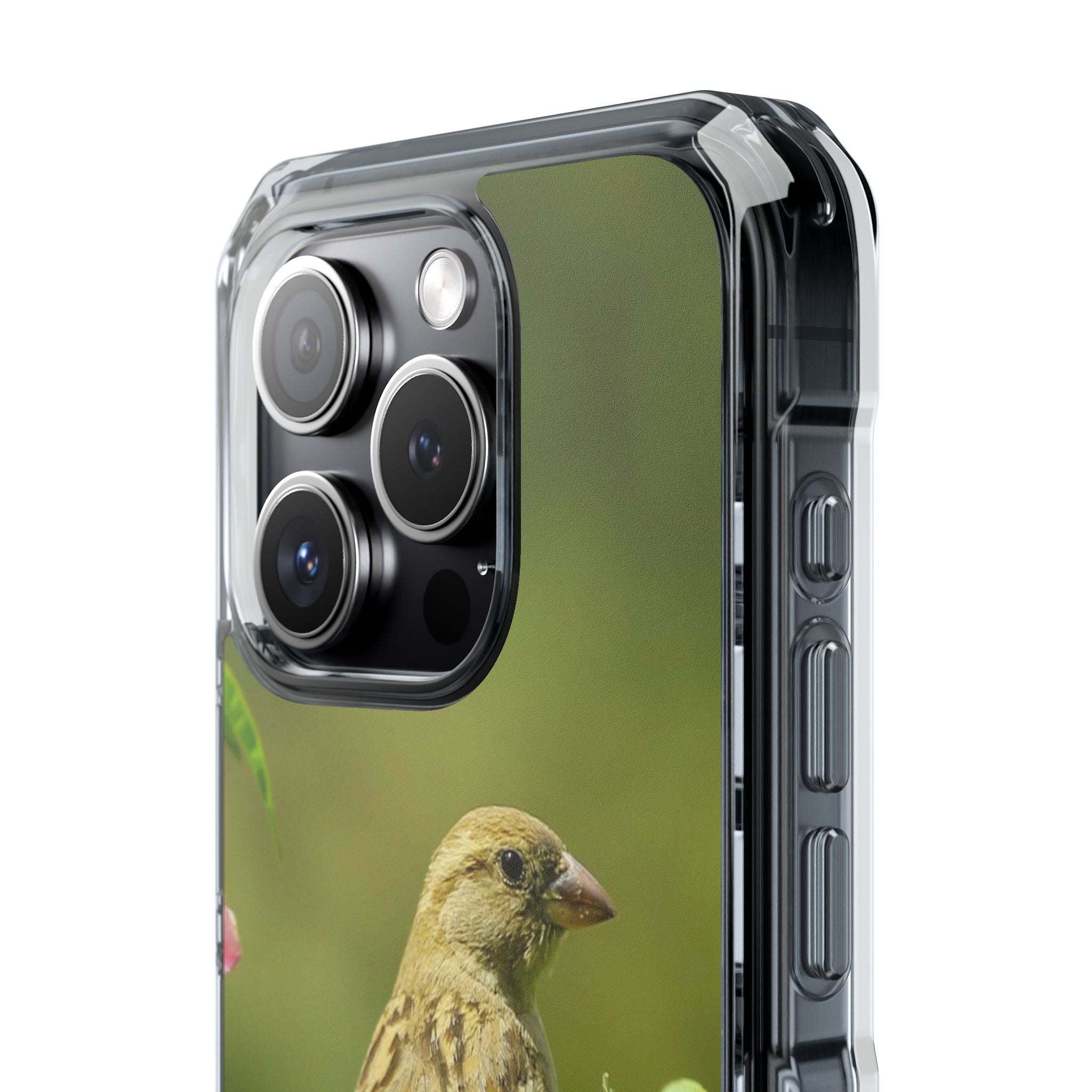Bird-Themed Magnetic Clear Impact Cases | Nature Lover Phone Case, Wildlife Gift, Eco-Friendly Phone Cover, Unique Mobile Accessories