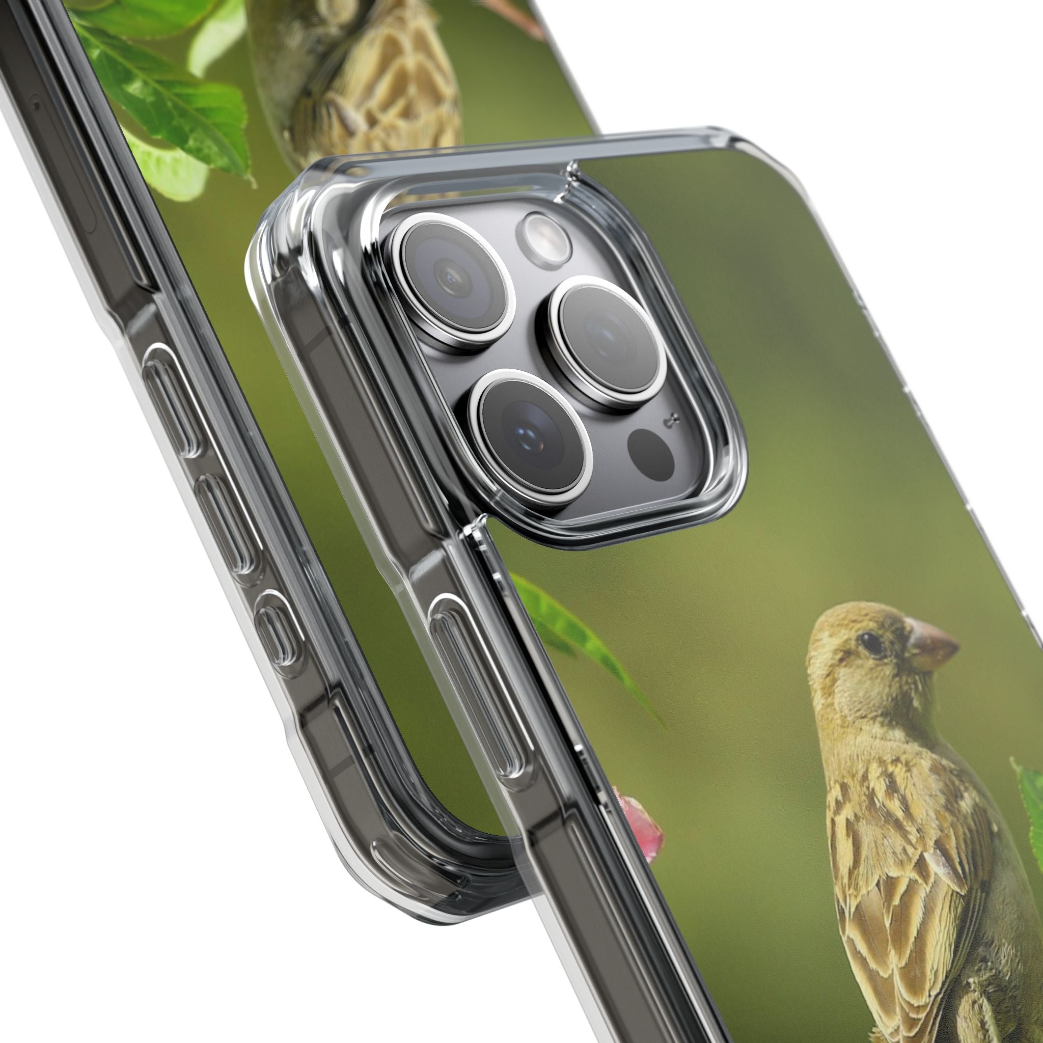 Bird-Themed Magnetic Clear Impact Cases | Nature Lover Phone Case, Wildlife Gift, Eco-Friendly Phone Cover, Unique Mobile Accessories