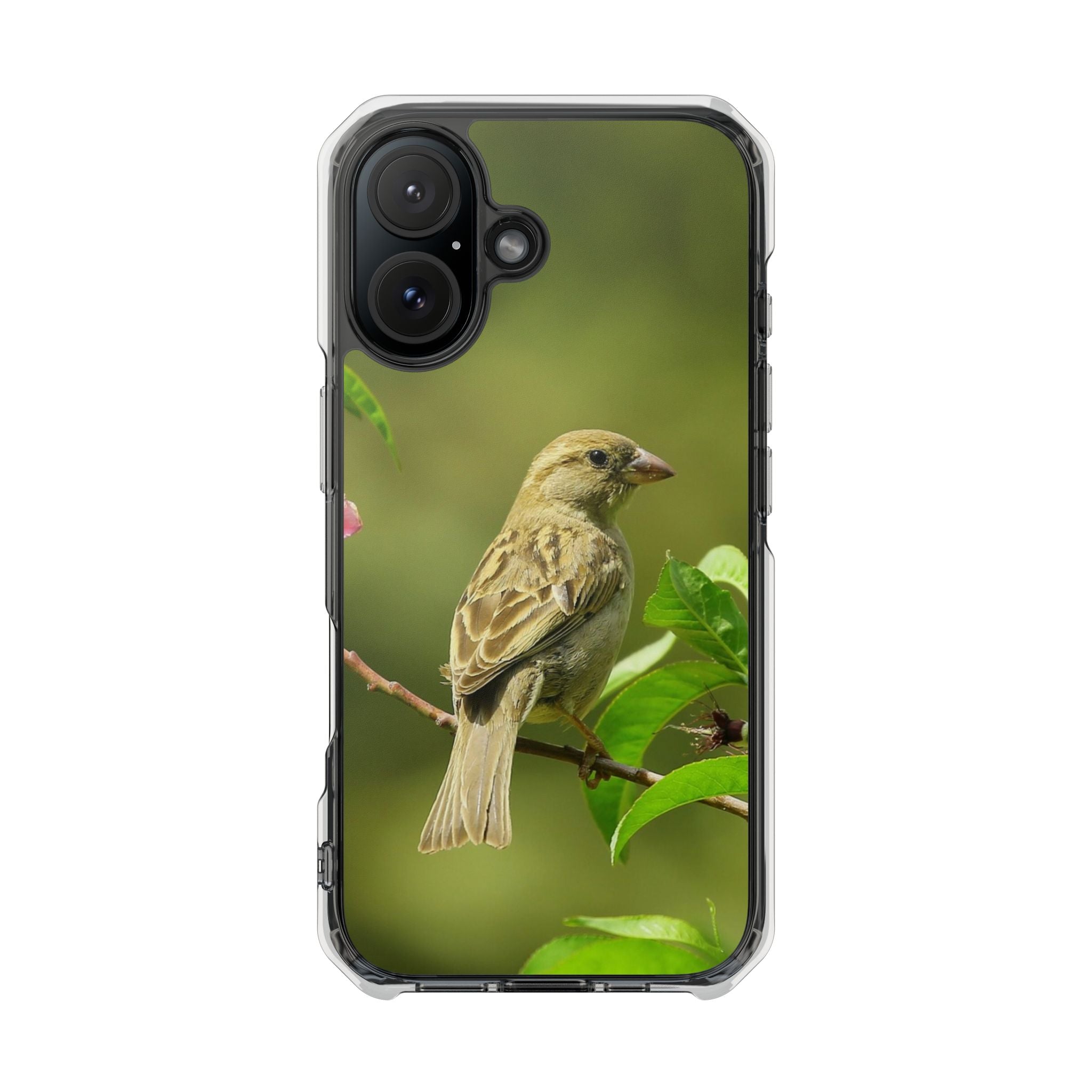 Bird-Themed Magnetic Clear Impact Cases | Nature Lover Phone Case, Wildlife Gift, Eco-Friendly Phone Cover, Unique Mobile Accessories