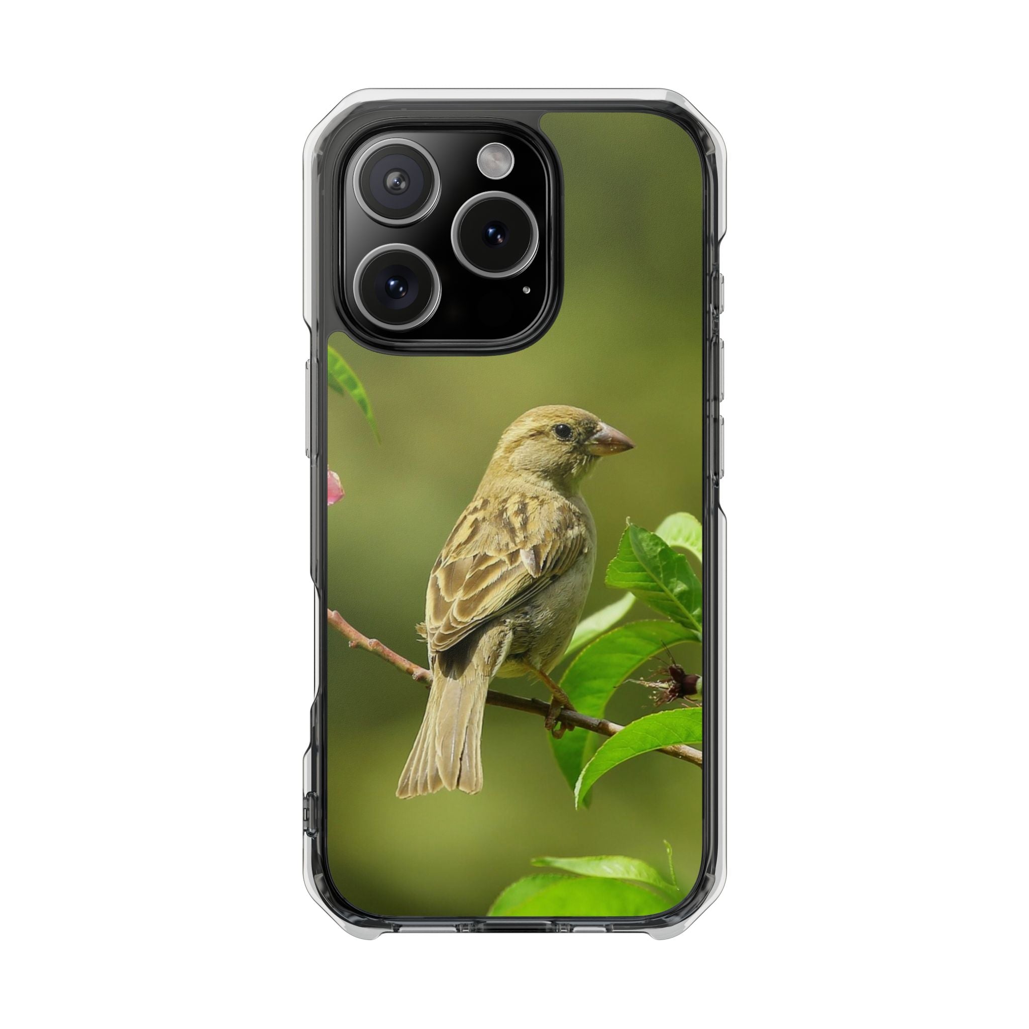 Bird-Themed Magnetic Clear Impact Cases | Nature Lover Phone Case, Wildlife Gift, Eco-Friendly Phone Cover, Unique Mobile Accessories