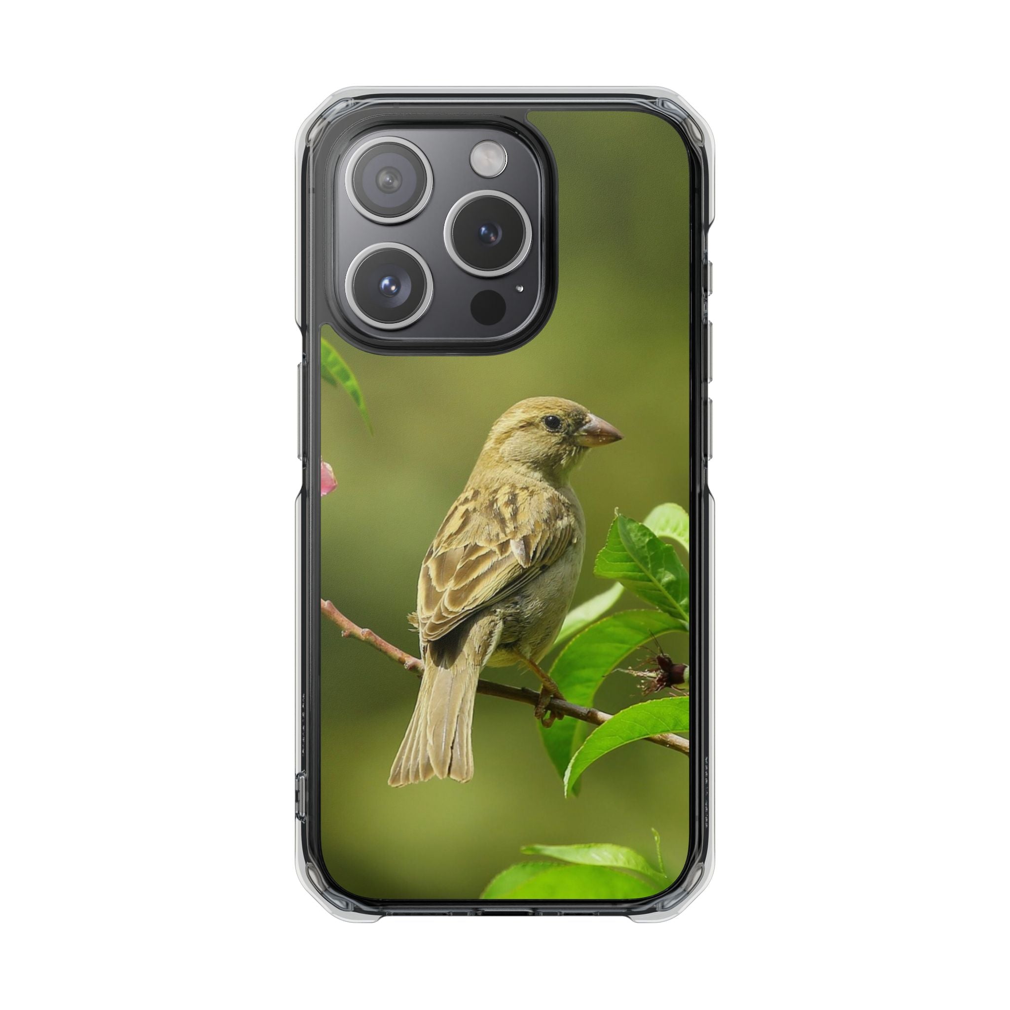 Bird-Themed Magnetic Clear Impact Cases | Nature Lover Phone Case, Wildlife Gift, Eco-Friendly Phone Cover, Unique Mobile Accessories