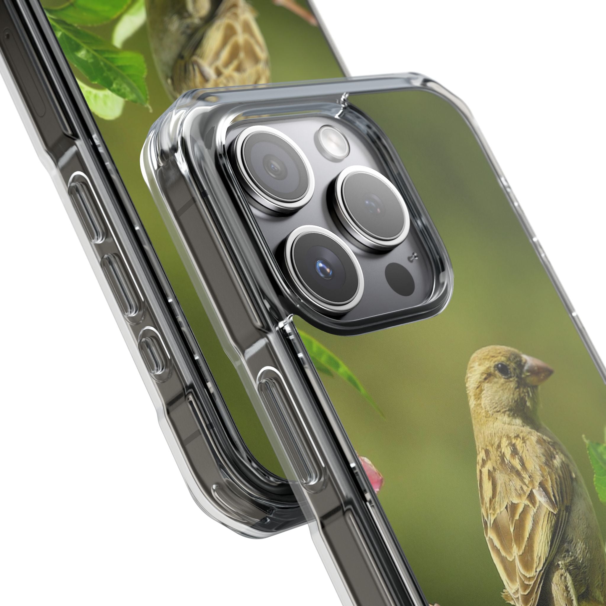 Bird-Themed Magnetic Clear Impact Cases | Nature Lover Phone Case, Wildlife Gift, Eco-Friendly Phone Cover, Unique Mobile Accessories