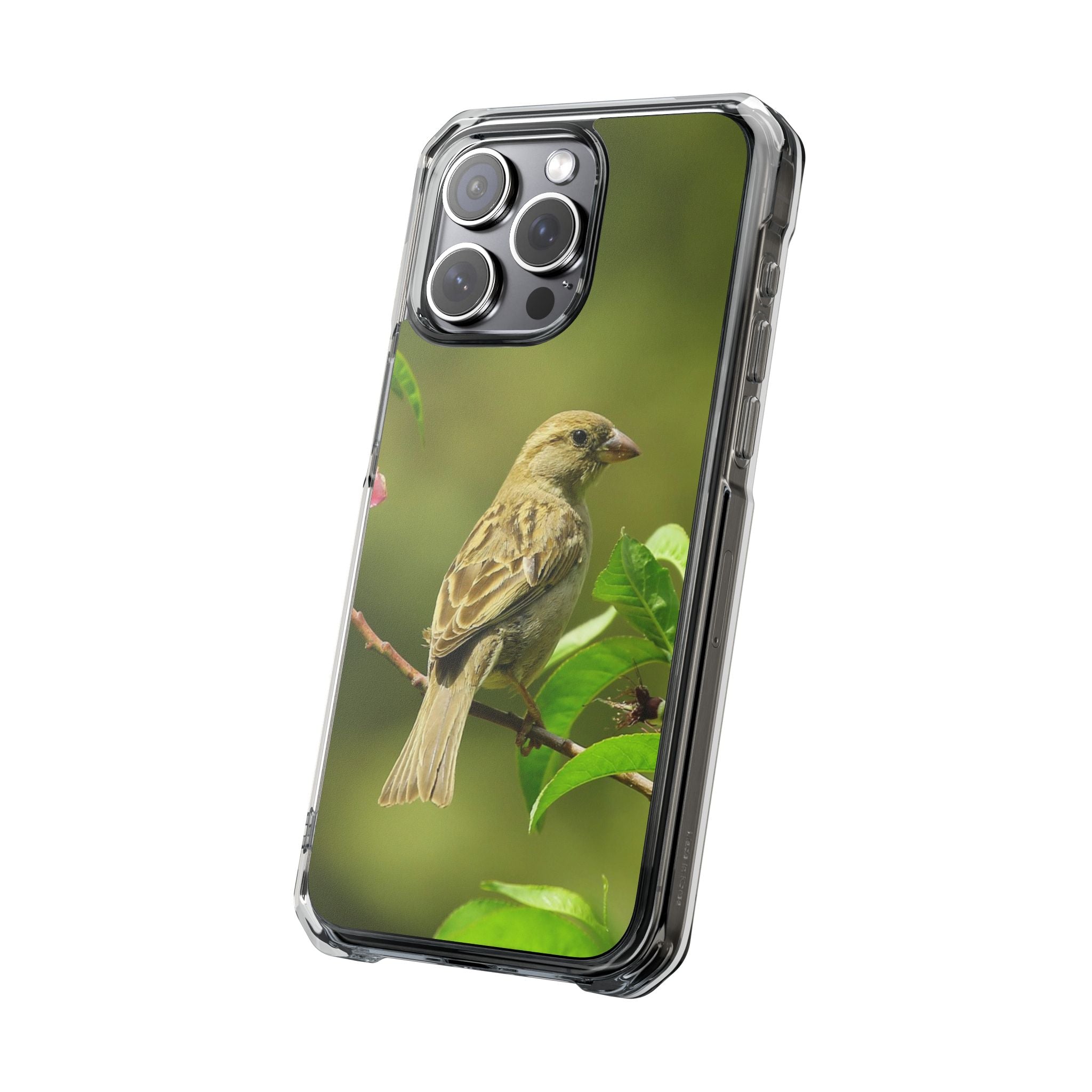 Bird-Themed Magnetic Clear Impact Cases | Nature Lover Phone Case, Wildlife Gift, Eco-Friendly Phone Cover, Unique Mobile Accessories