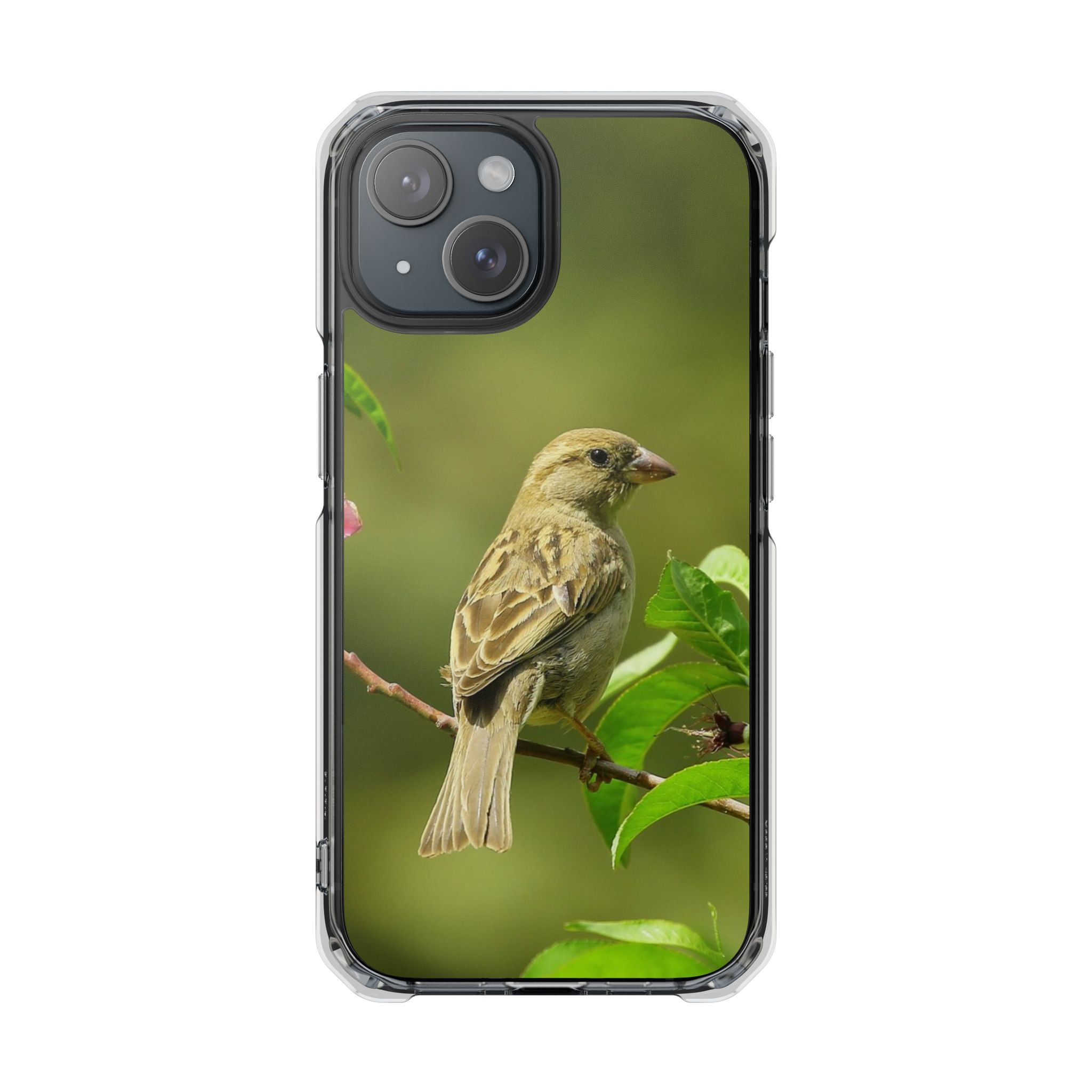Bird-Themed Magnetic Clear Impact Cases | Nature Lover Phone Case, Wildlife Gift, Eco-Friendly Phone Cover, Unique Mobile Accessories