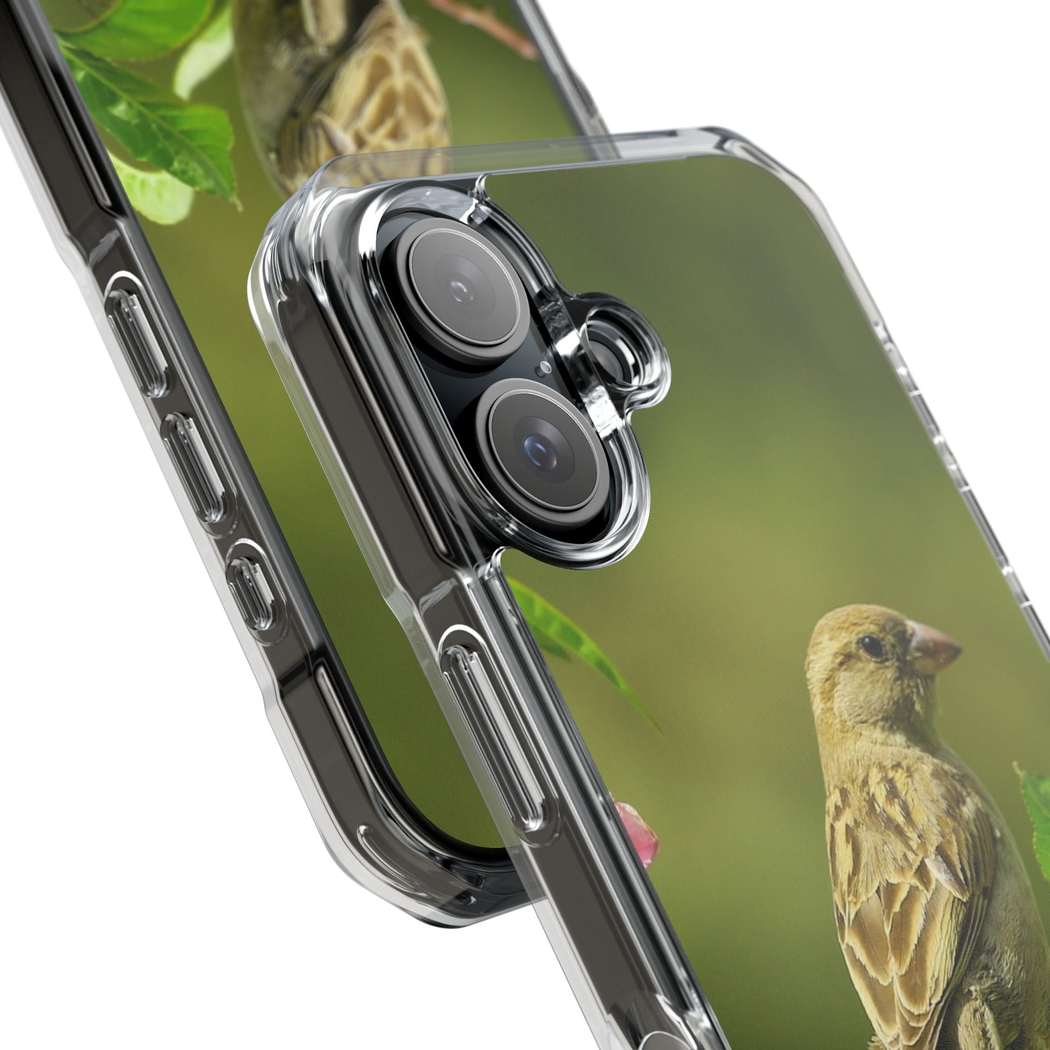 Bird-Themed Magnetic Clear Impact Cases | Nature Lover Phone Case, Wildlife Gift, Eco-Friendly Phone Cover, Unique Mobile Accessories