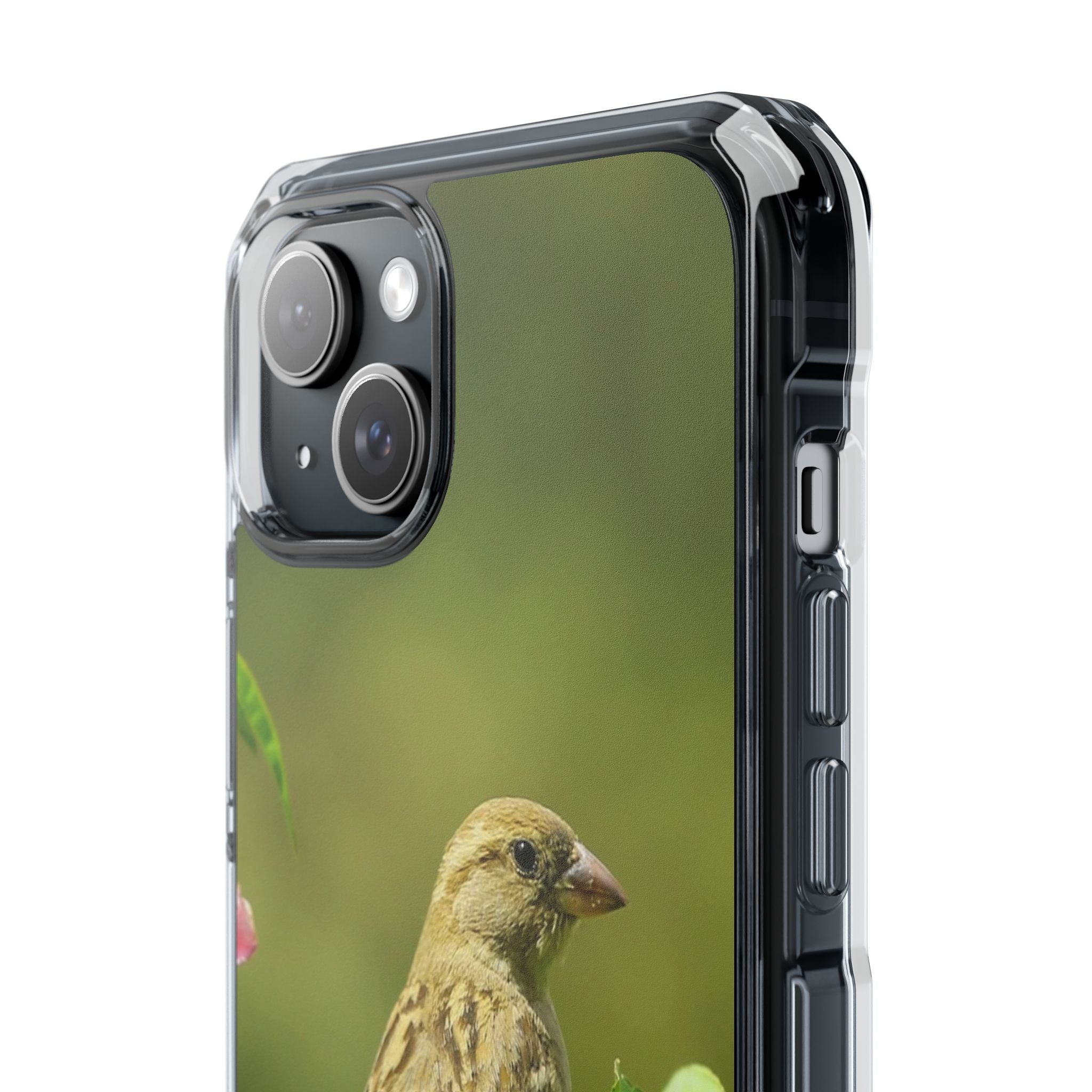 Bird-Themed Magnetic Clear Impact Cases | Nature Lover Phone Case, Wildlife Gift, Eco-Friendly Phone Cover, Unique Mobile Accessories