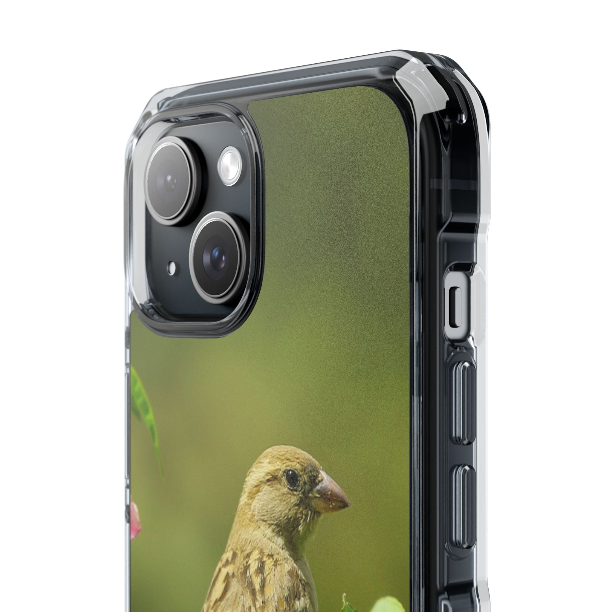 Bird-Themed Magnetic Clear Impact Cases | Nature Lover Phone Case, Wildlife Gift, Eco-Friendly Phone Cover, Unique Mobile Accessories