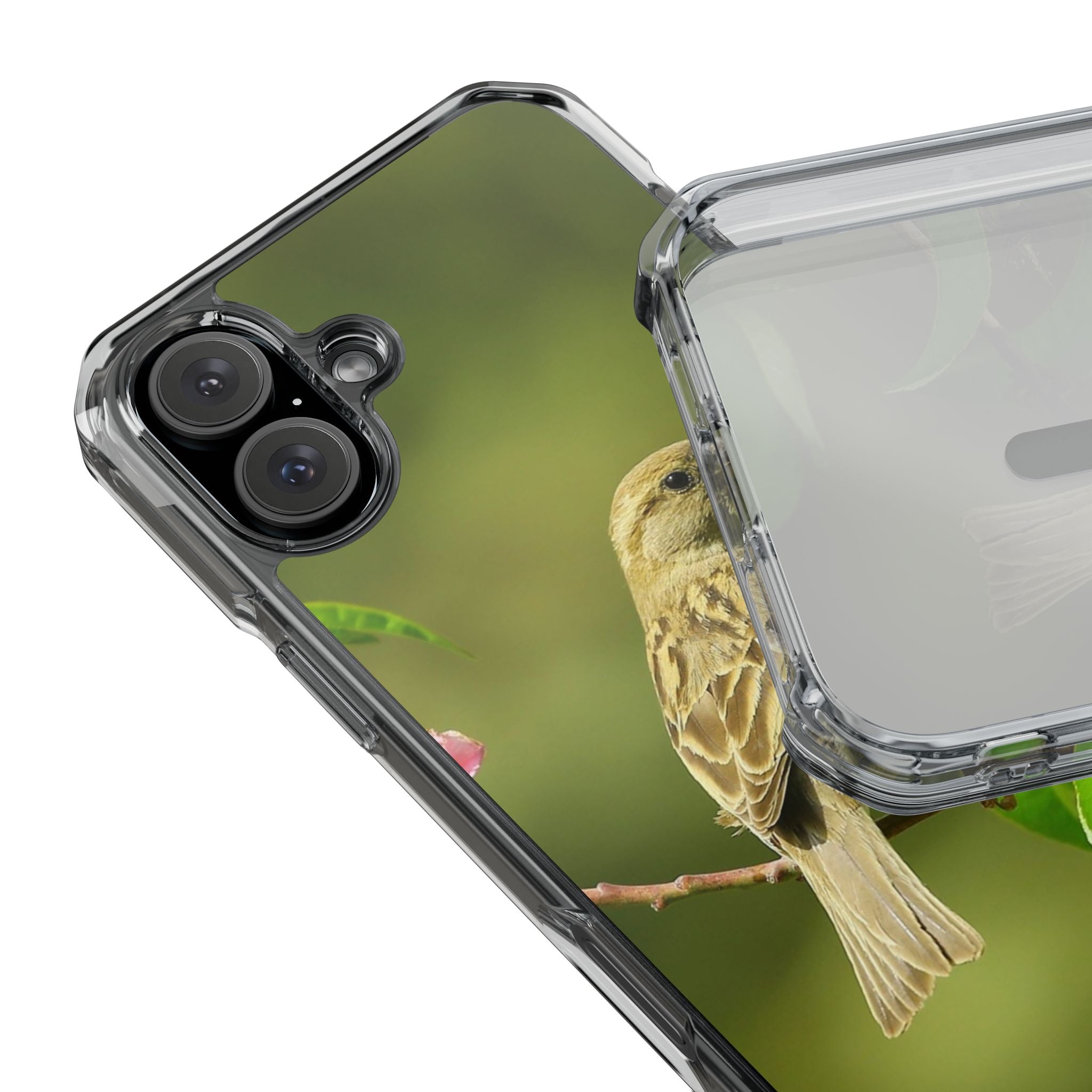Bird-Themed Magnetic Clear Impact Cases | Nature Lover Phone Case, Wildlife Gift, Eco-Friendly Phone Cover, Unique Mobile Accessories