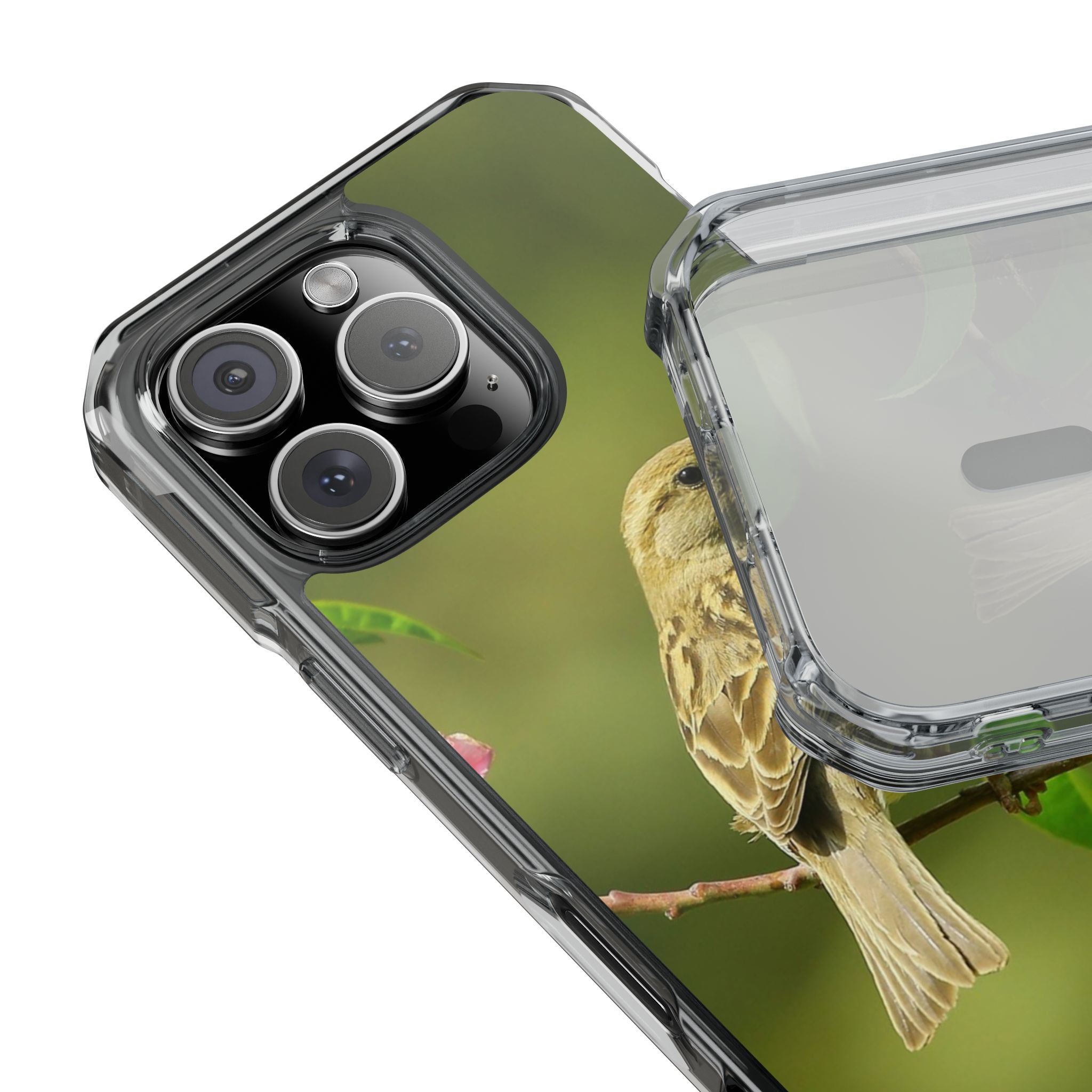 Bird-Themed Magnetic Clear Impact Cases | Nature Lover Phone Case, Wildlife Gift, Eco-Friendly Phone Cover, Unique Mobile Accessories