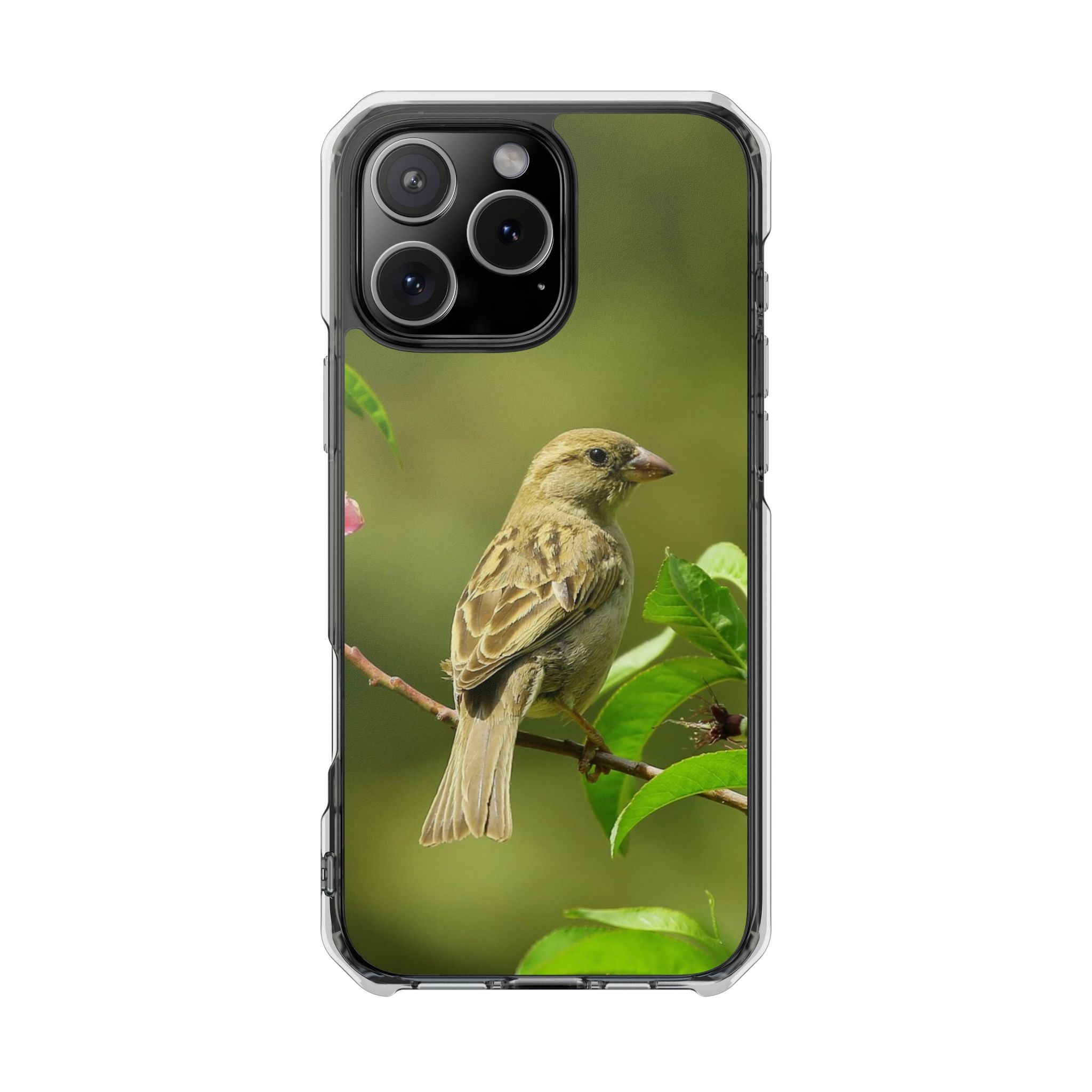 Bird-Themed Magnetic Clear Impact Cases | Nature Lover Phone Case, Wildlife Gift, Eco-Friendly Phone Cover, Unique Mobile Accessories