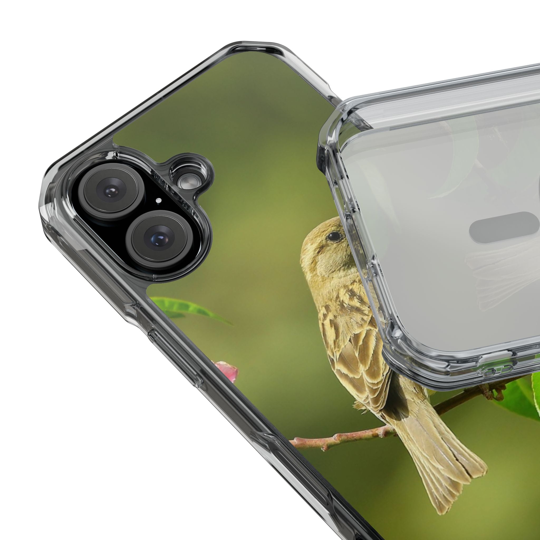 Bird-Themed Magnetic Clear Impact Cases | Nature Lover Phone Case, Wildlife Gift, Eco-Friendly Phone Cover, Unique Mobile Accessories